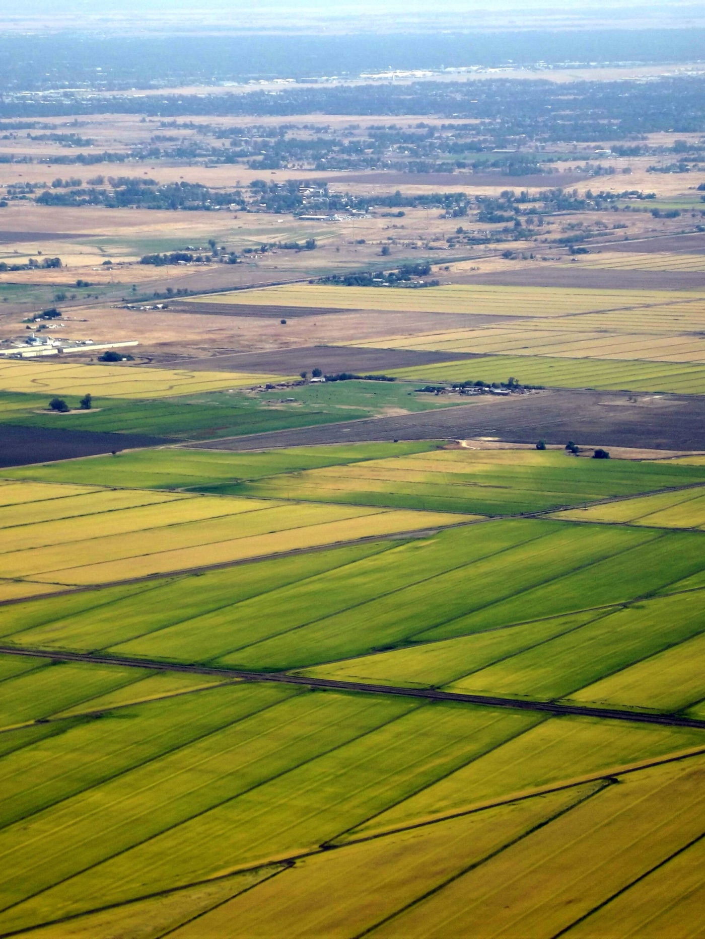 Aerial view of agricultural fields in California’s Central Valley